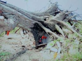 தொண்டைமனாறு நடுத்தெருவில் அமைந்திருந்த வைரவருக்கு நேர்ந்த கதி!